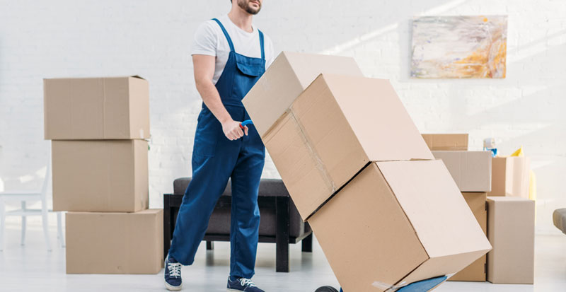 Packers and Movers